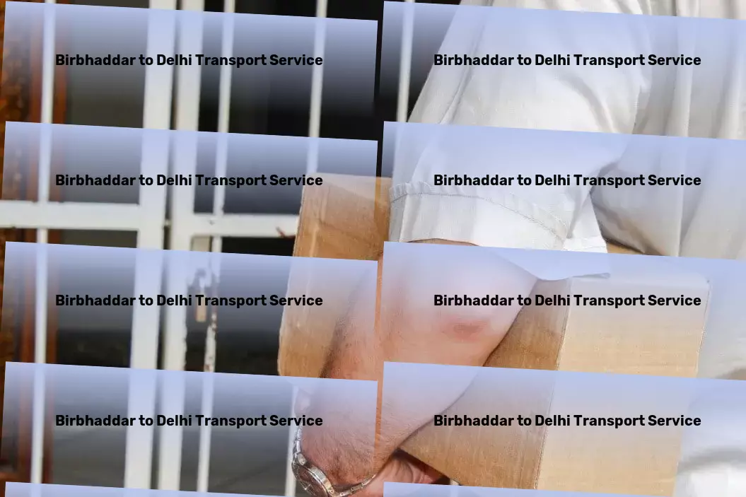 Birbhaddar to Delhi Transport Revolutionizing healthcare with advanced medical treatments! - Nationwide delivery and logistics