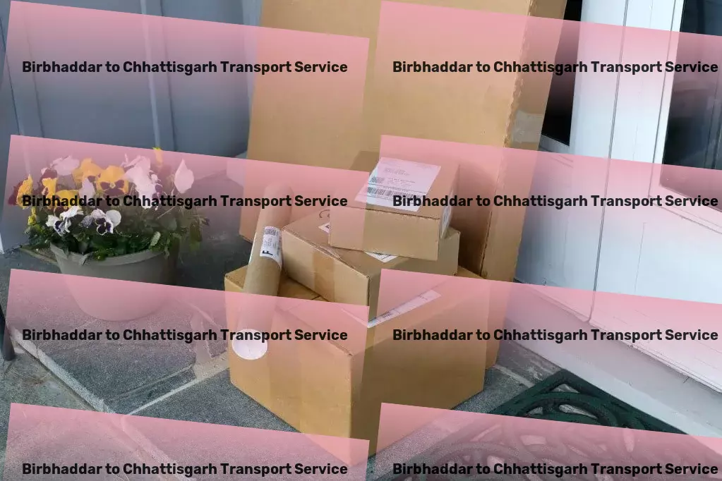 Birbhaddar to Chhattisgarh Transport Large-scale packers and movers