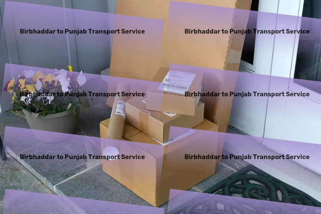 Birbhaddar to Punjab Transport Innovative logistics solutions